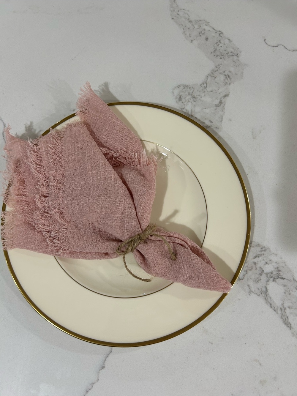 Dusty Rose Fringed Cloth Napkins – 4 sets of 10